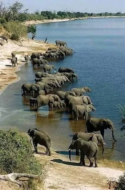 6-Day Ultimate Big Five Wildlife Safari Experience