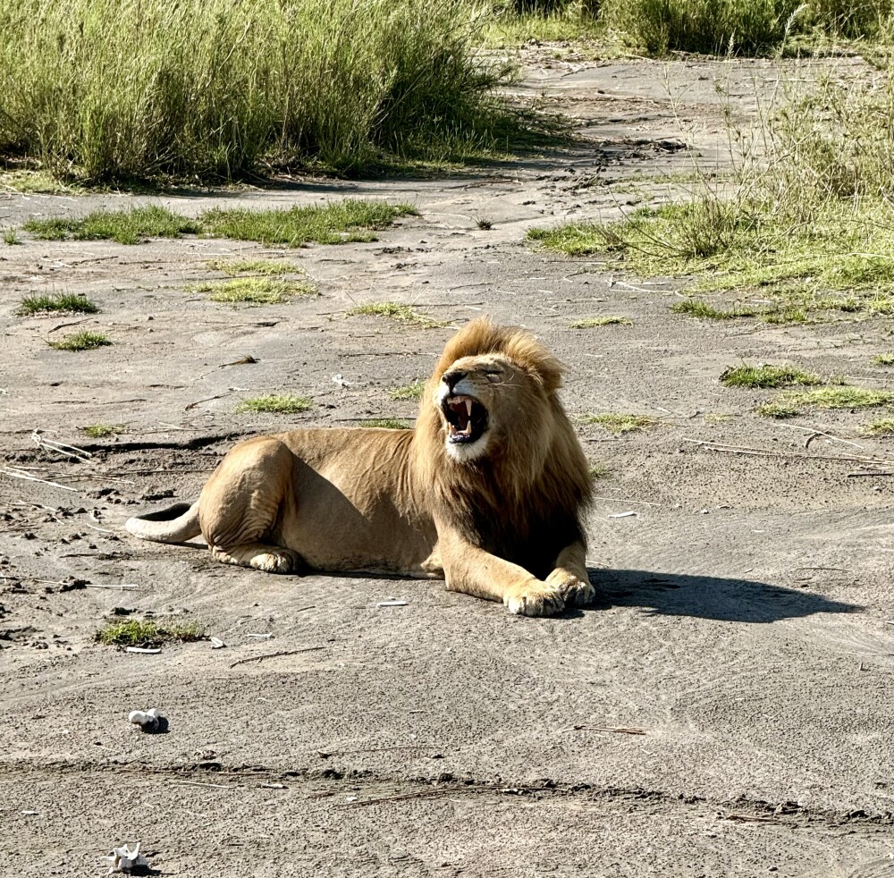 8-Day Tanzania Wilderness and Big Five Expedition