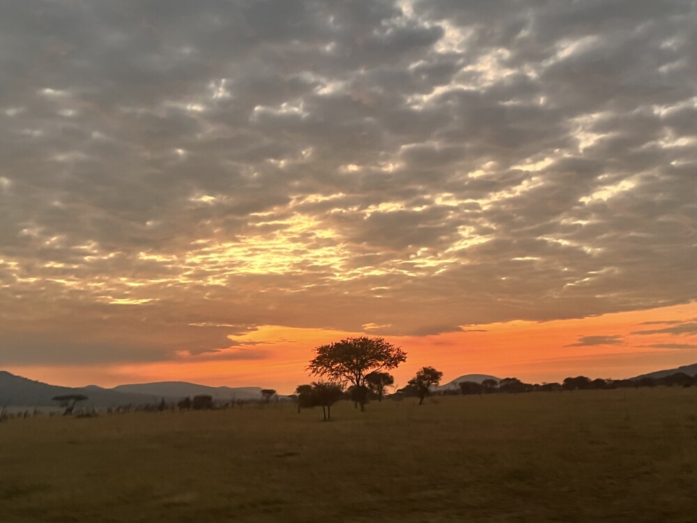 Day 7: Departure- Kilimanjaro Airport