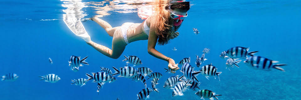 Day 1: Mnemba Atoll Snorkeling Adventure