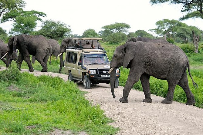 DAY 2 — ARUSHA → TARANGIRE NATIONAL PARK, The Land of Giants