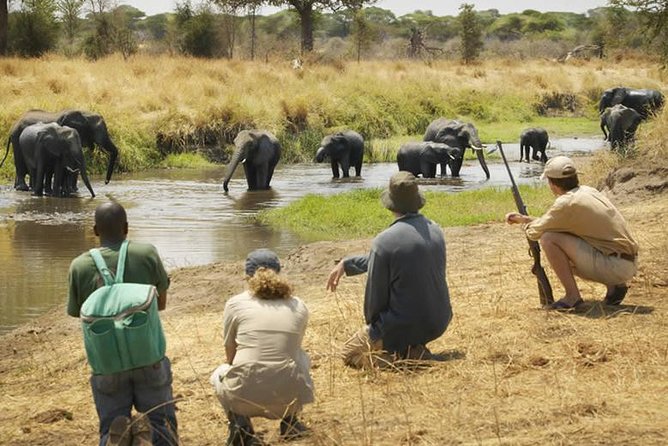 3-Day Mikumi and Udzungwa Mountains Safari