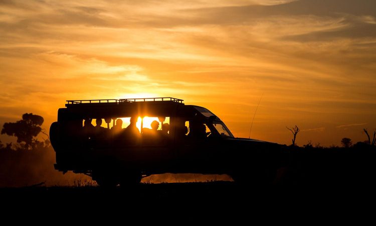6-Day Tanzania Wildlife Safari: Four Famous National Parks