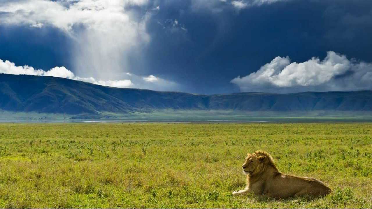 5-Day Best of Tanzania Safari: Tarangire, Serengeti and Ngorongoro