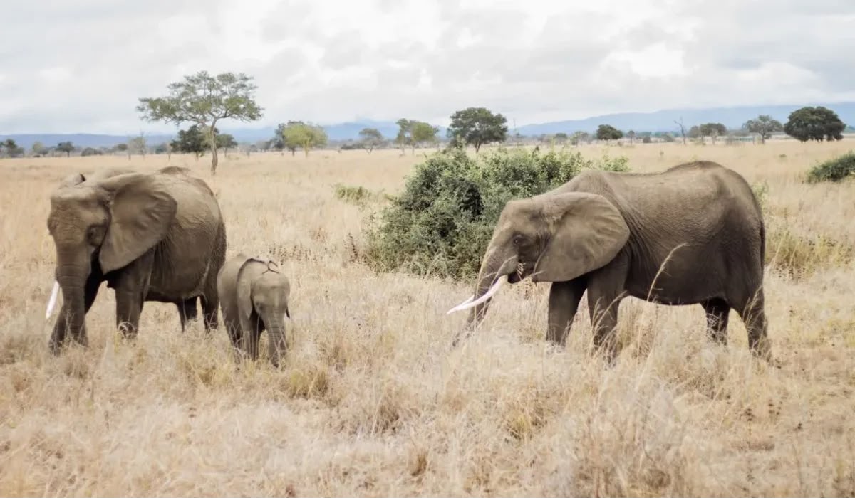DAY 3; MORNING GAME DRIVE