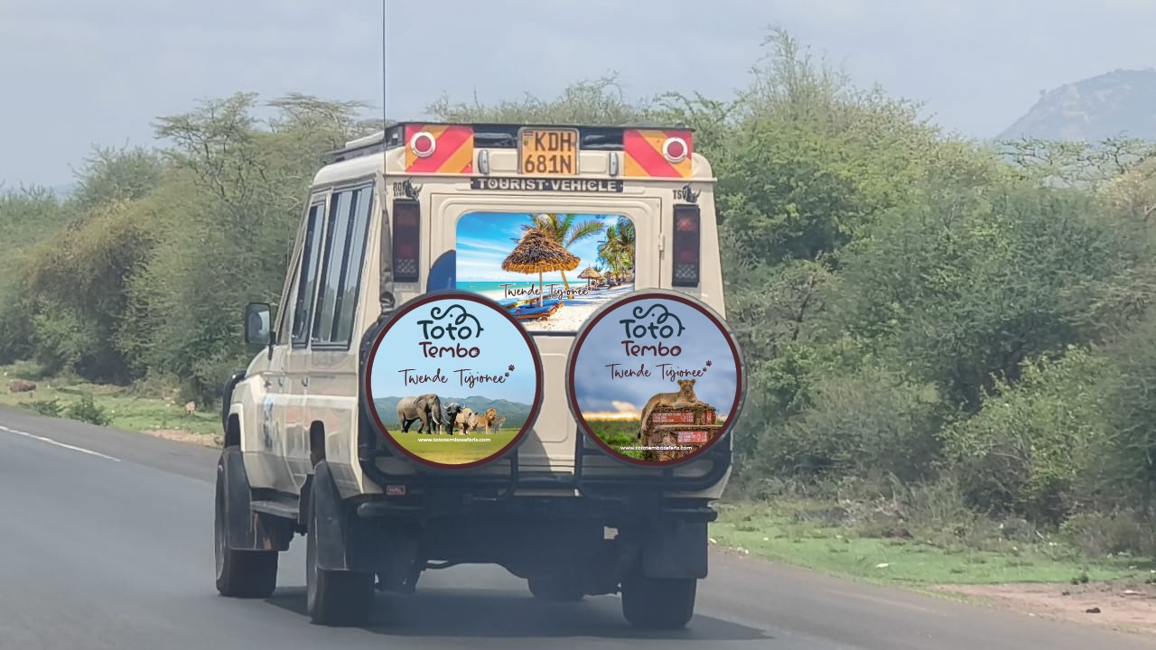 Toto Tembo Safaris