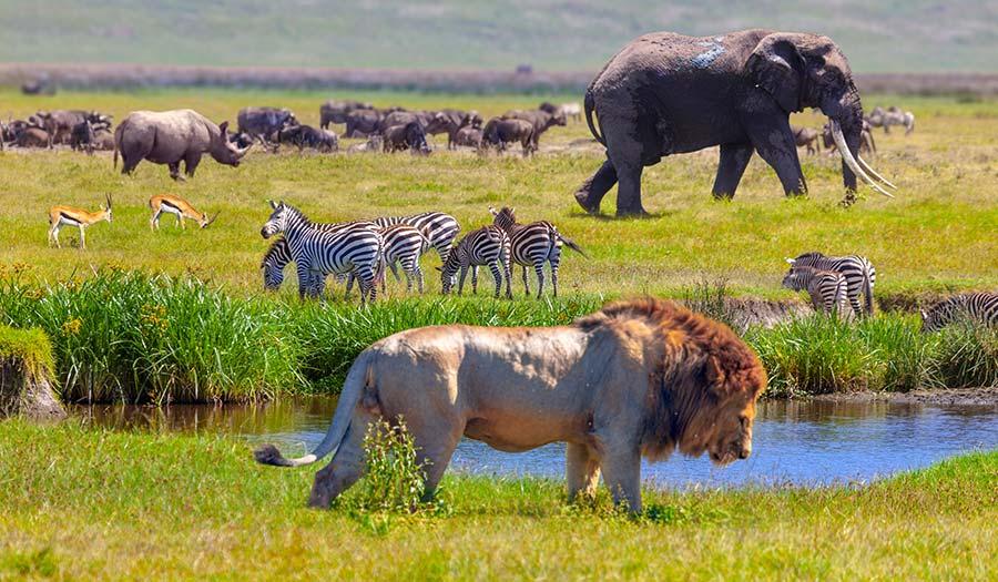 Tanzania