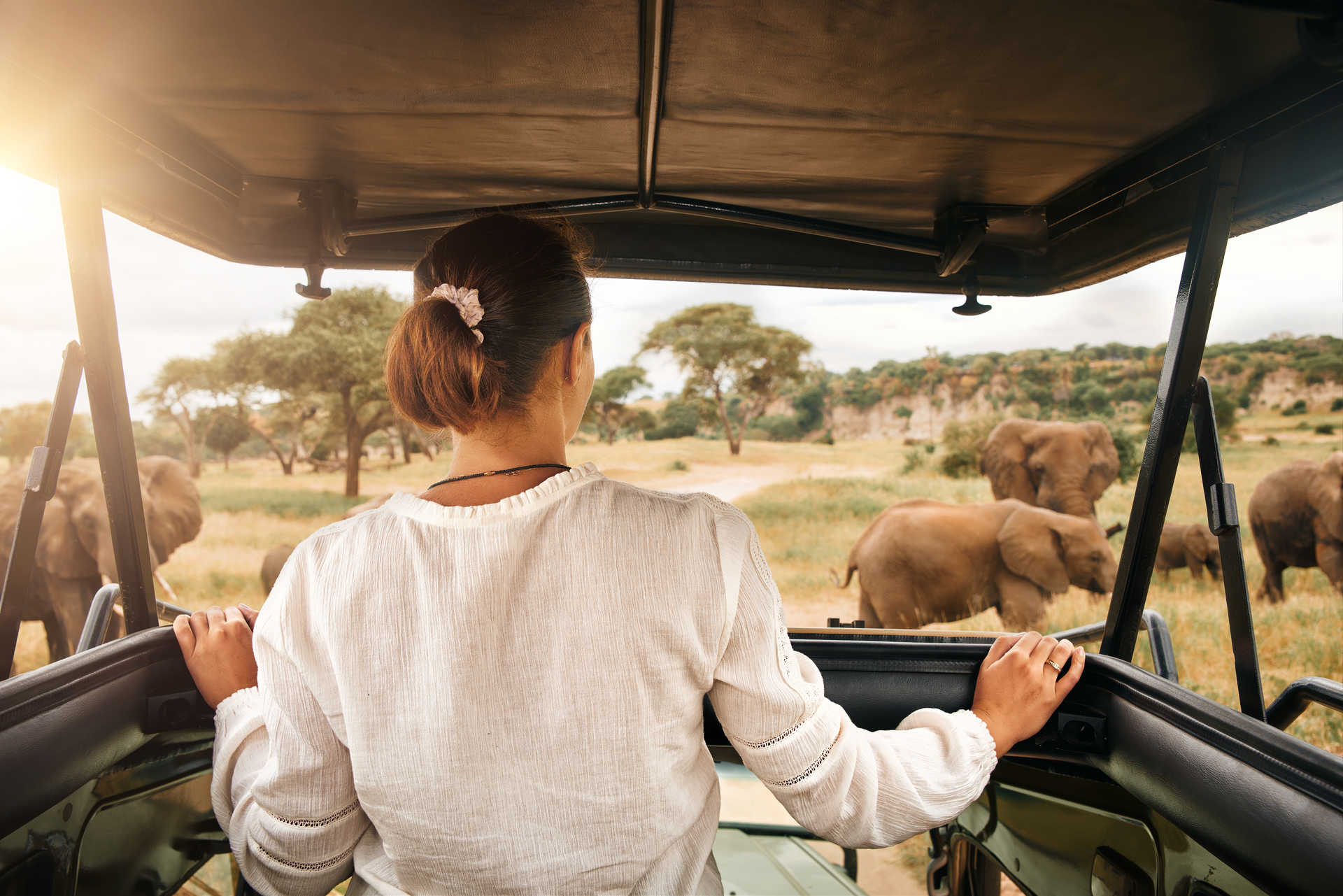 2 Days Mikumi Safari from Zanzibar