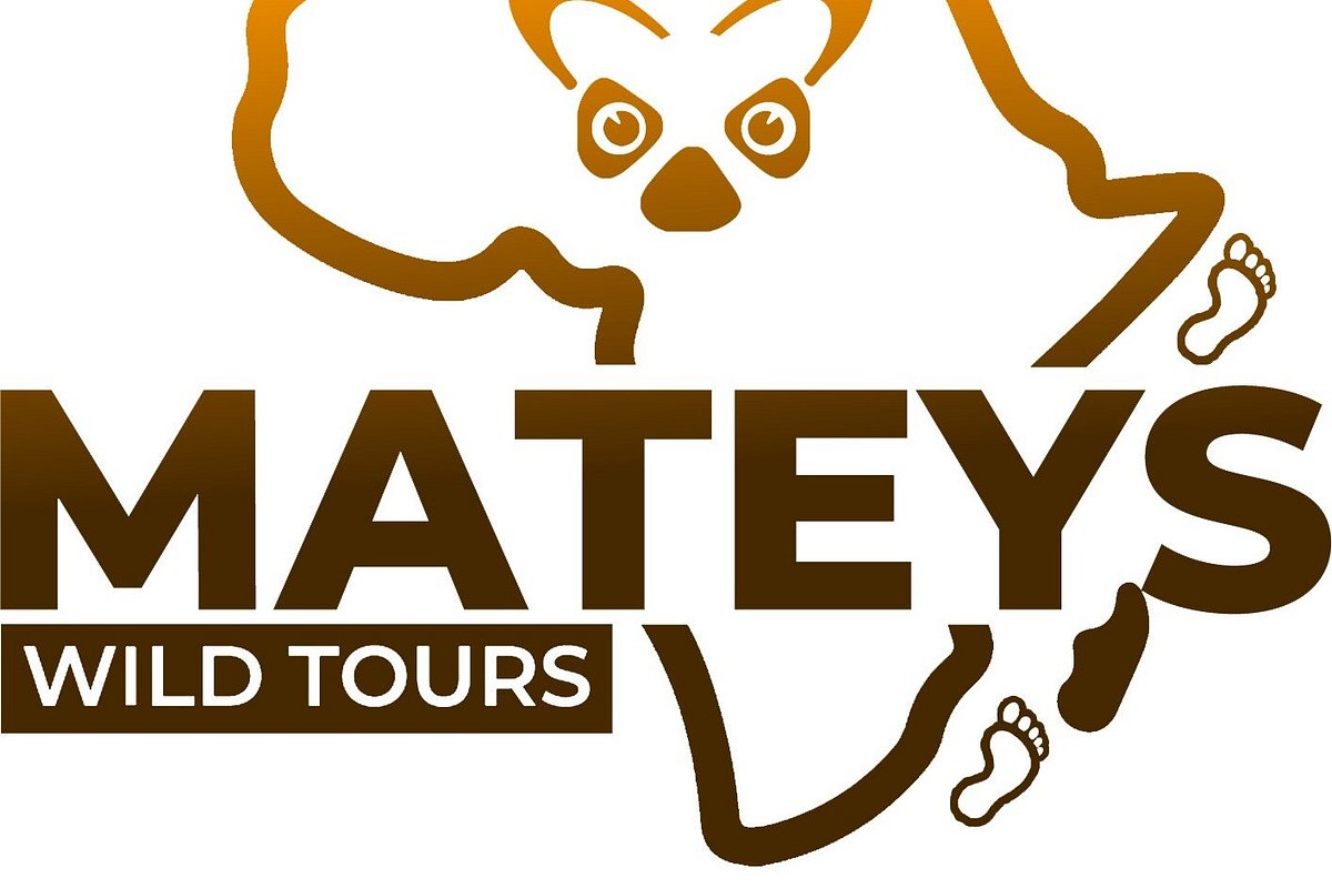 Mateys Wild Tours