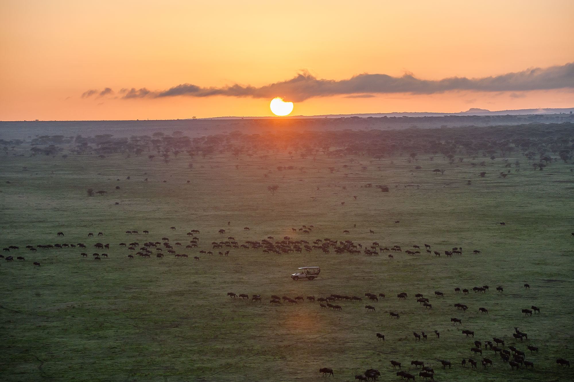 6 DAYS GREAT MIGRATION NORTHERN CIRCUIT