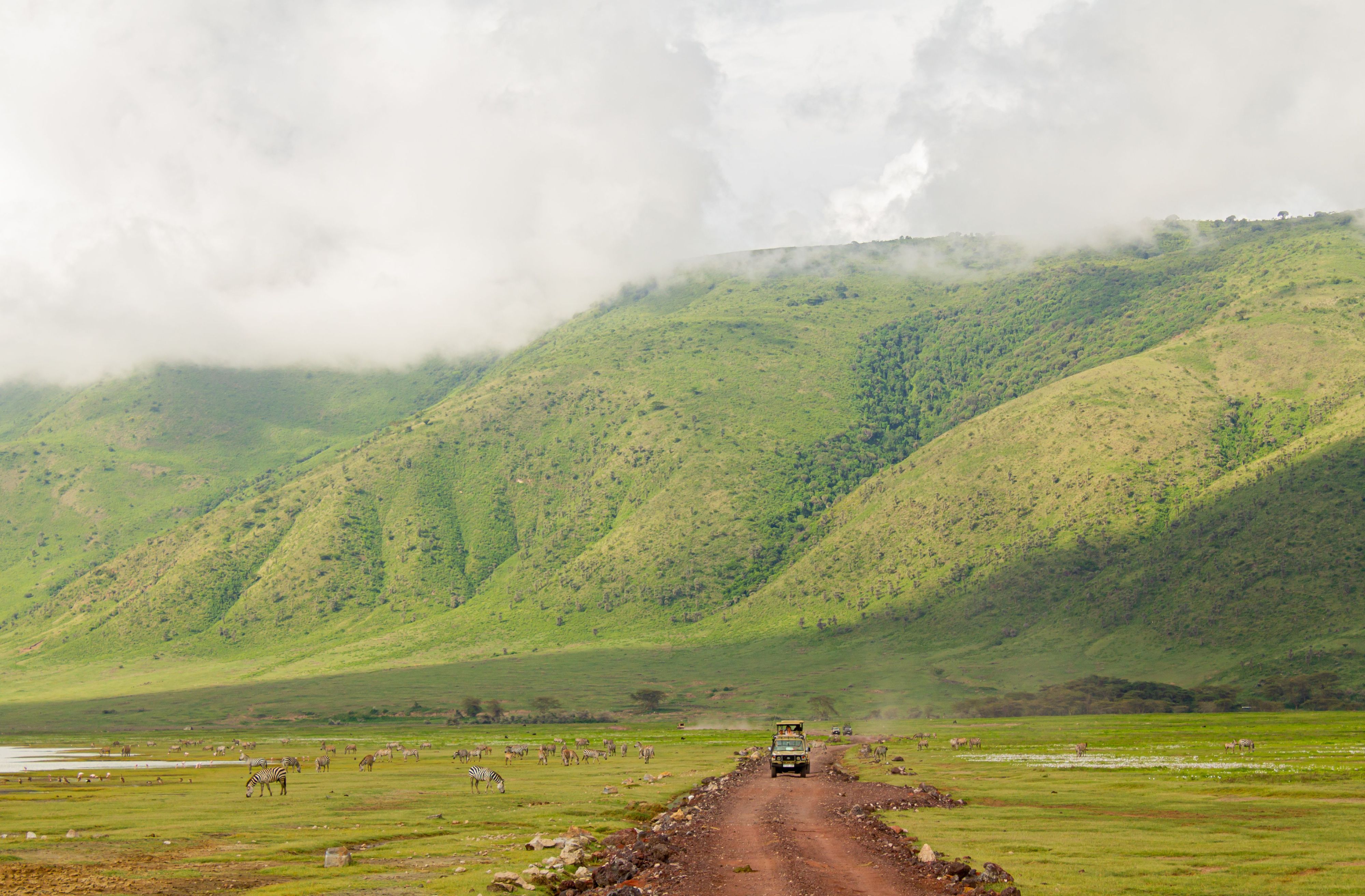 NGORONGORO CRATER TOUR