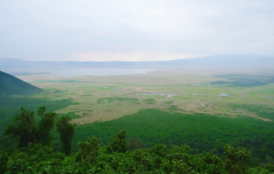 DAY 6: NGORONGORO CRATER TOUR