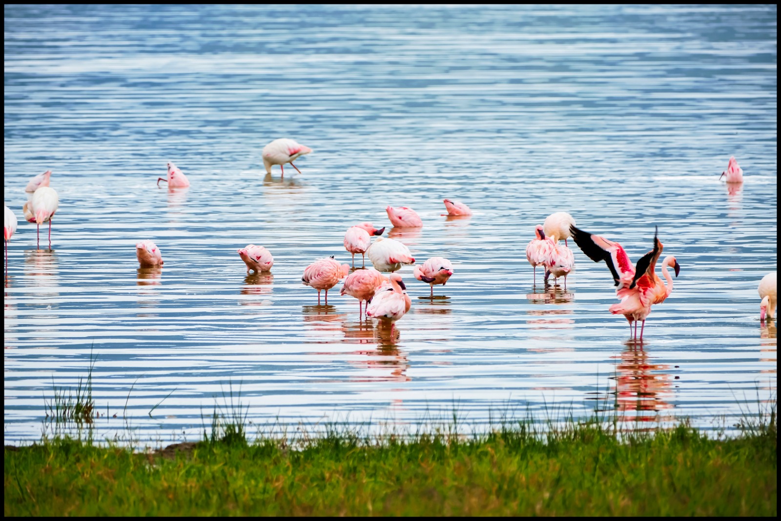 DAY 2: LAKE MANYARA NATIONAL PARK