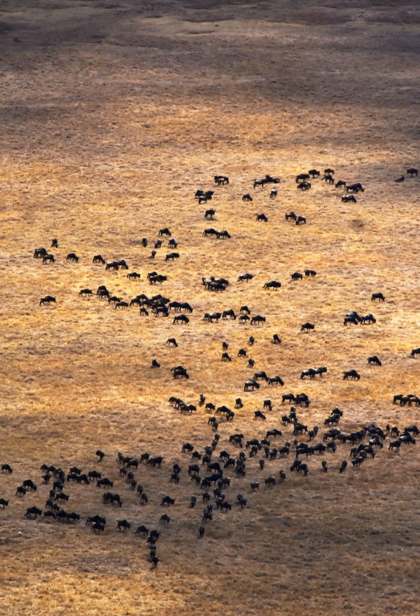 DAY 5: SERENGETI ENROUTE TO NGORONGORO CONSERVATION AREA