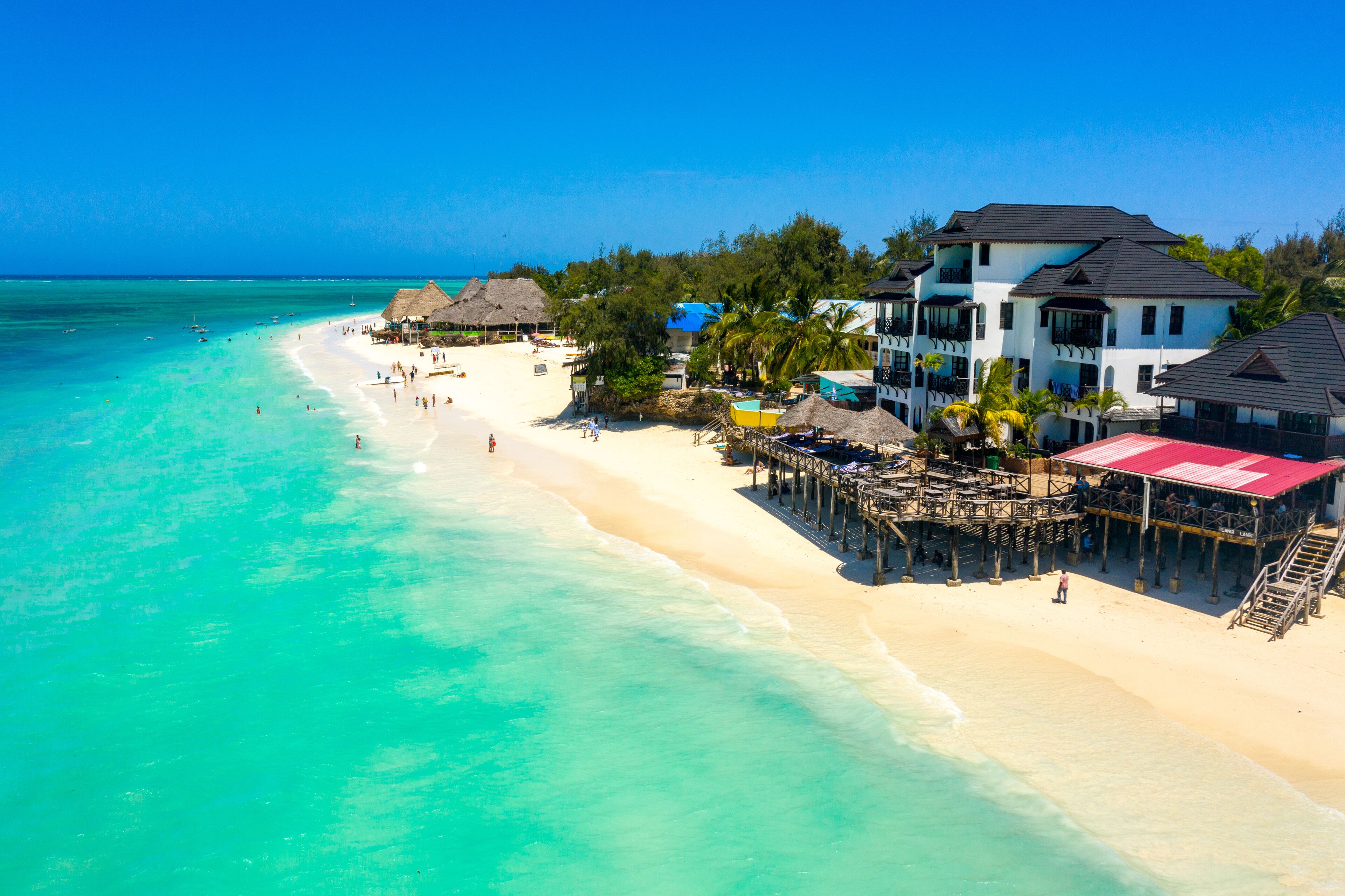 Day 3: Morning Nature Experience – Flight Back to Zanzibar