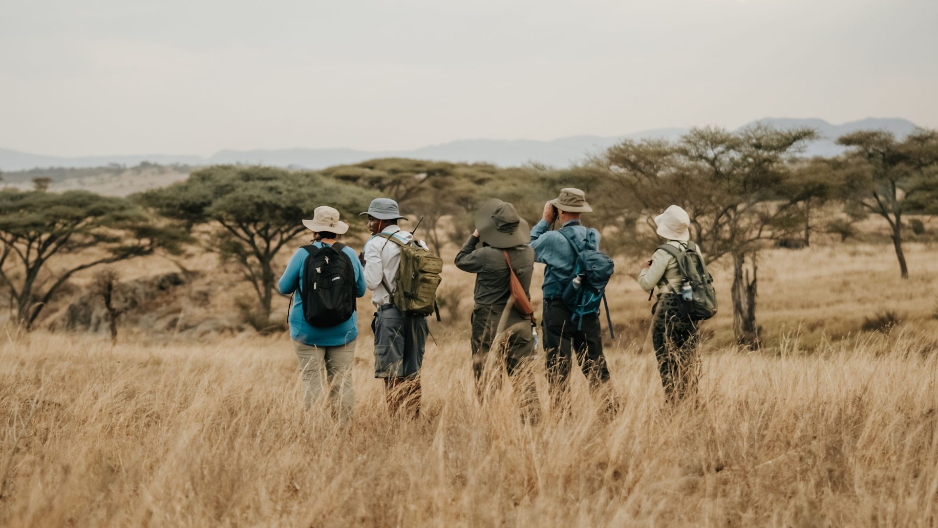 Mikumi National Park